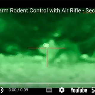 Precision Rodent Control: Air Rifle Services for Farms